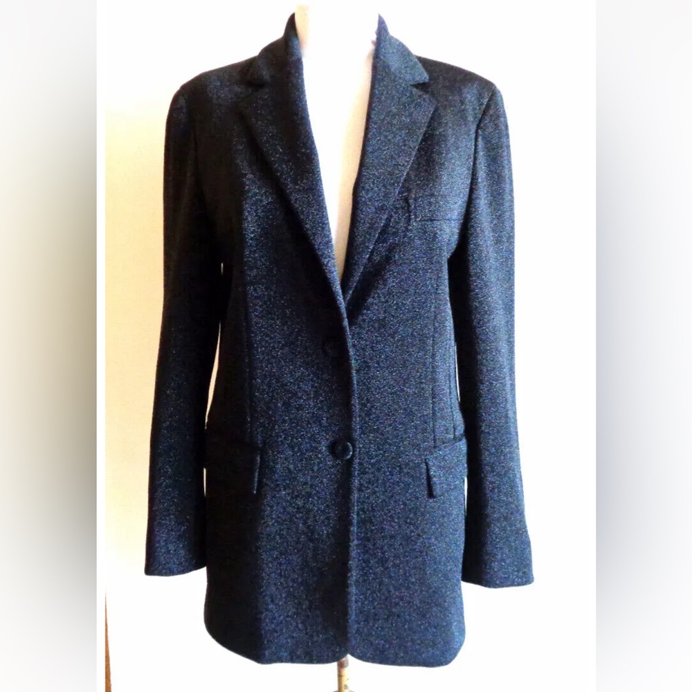 Philosophy di Alberta Ferretti metallic blazer, EUC, size 4